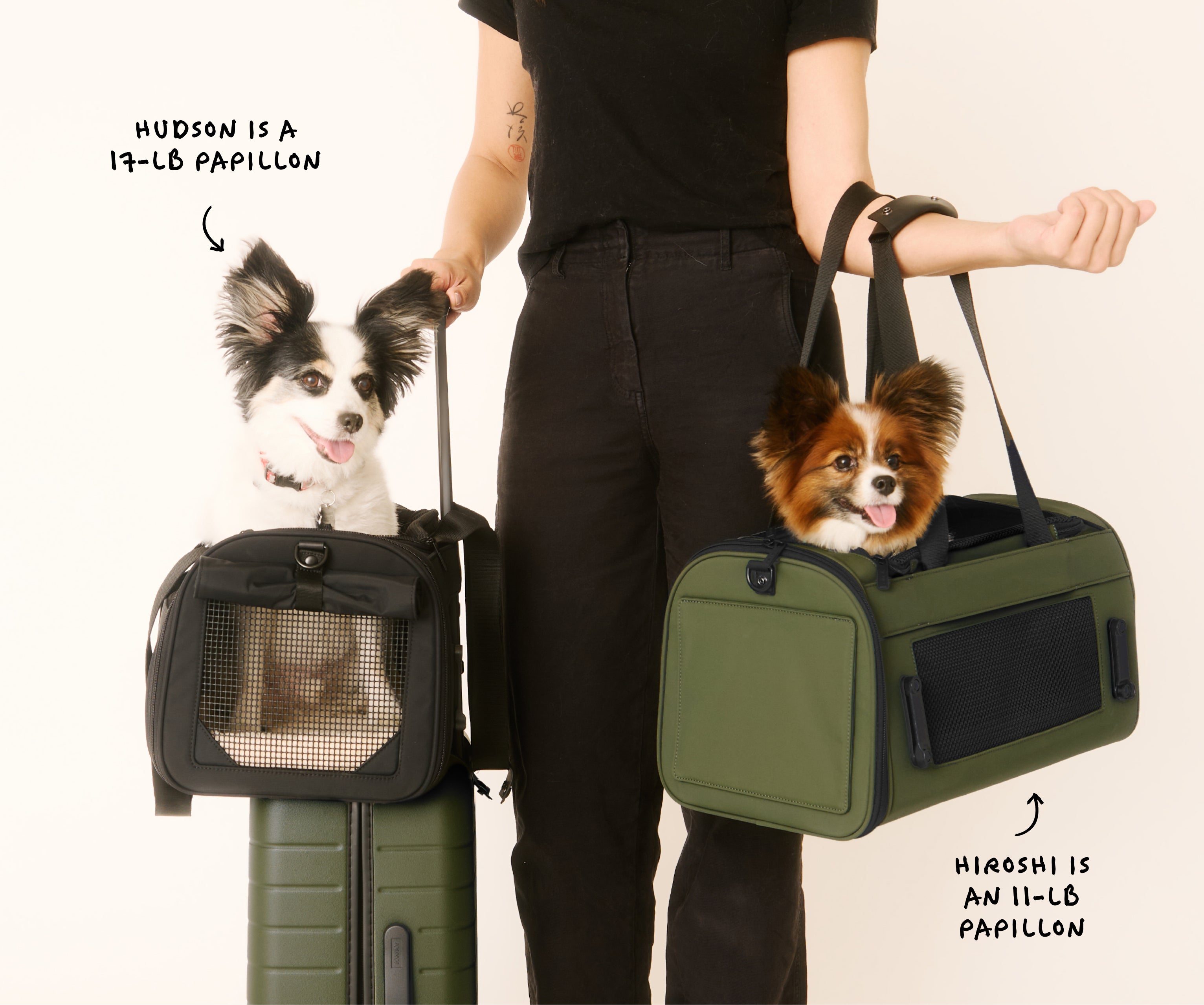 Airline Approved Pet Carrier in Olive Green | Away: Built for
