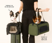 The Pet Carrier in Olive Green
