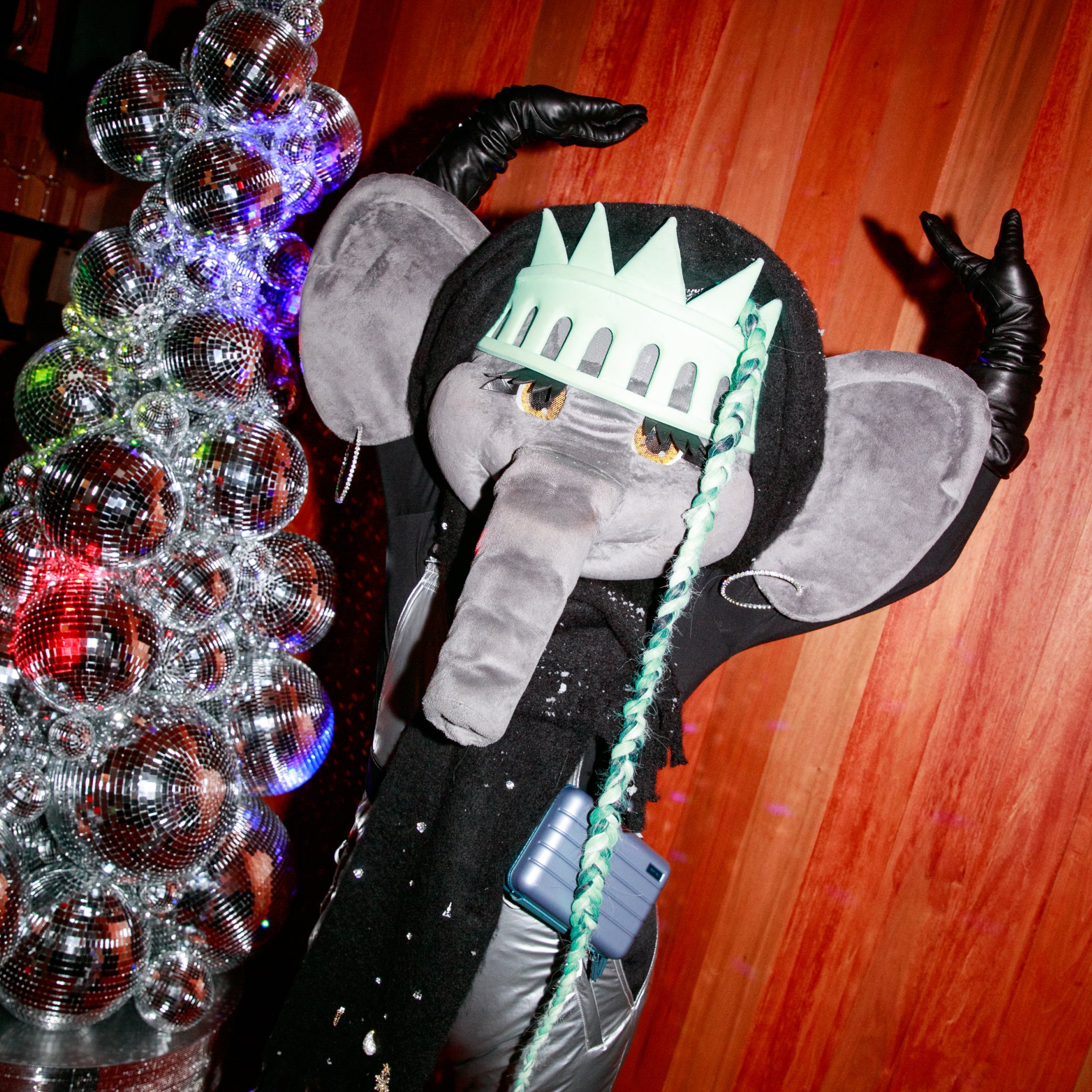 ellie the elephant posing 