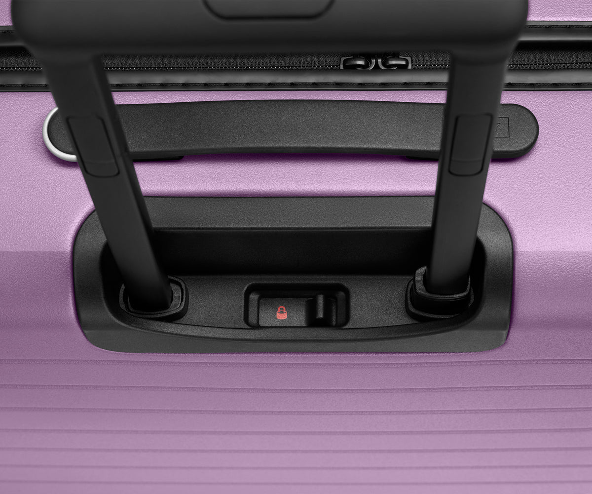 The Trunk 3 in Electric Iris