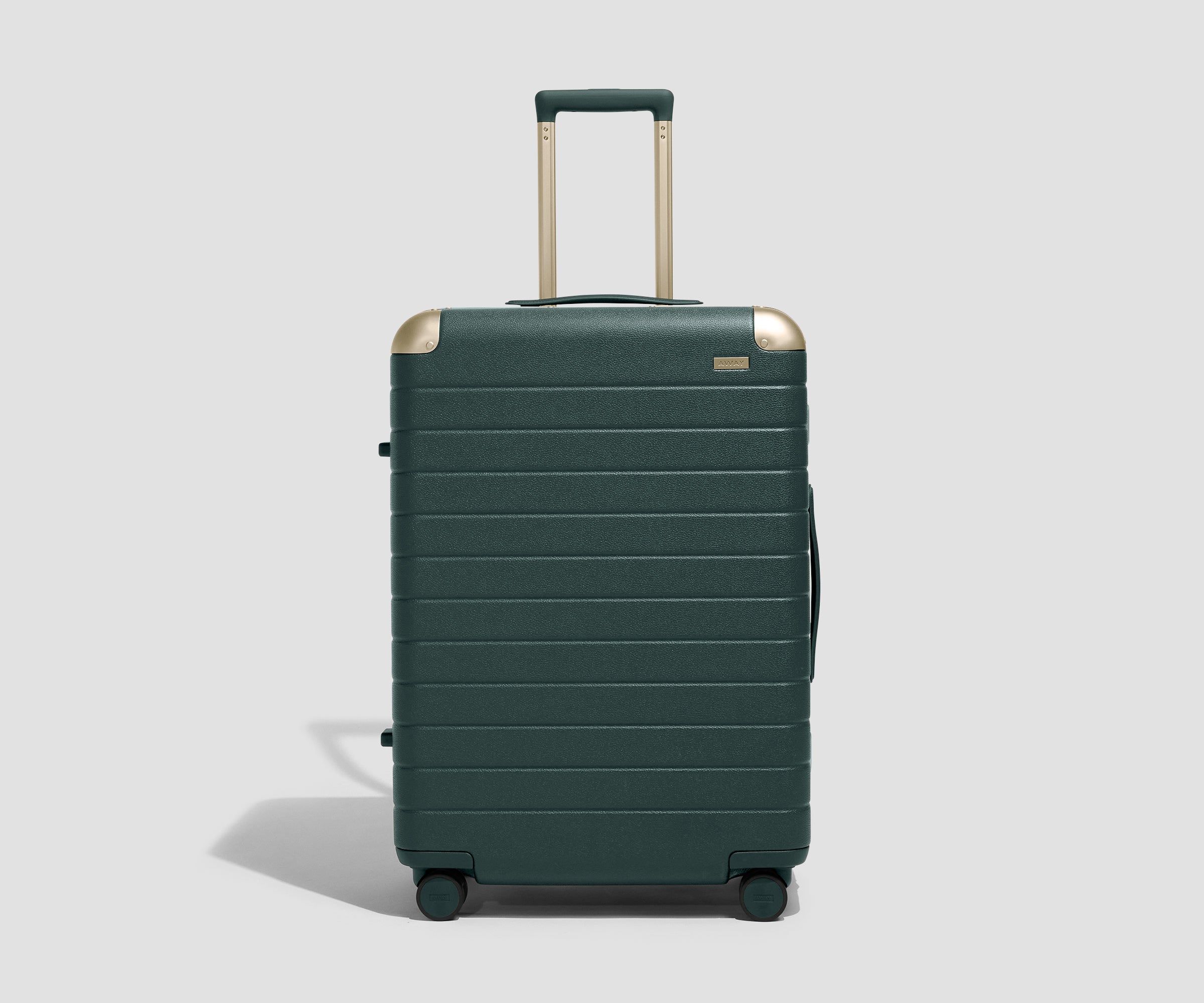 The Aluminum Edge Medium in Ivy Green