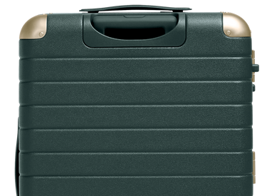 The Aluminum Edge Medium in Ivy Green
