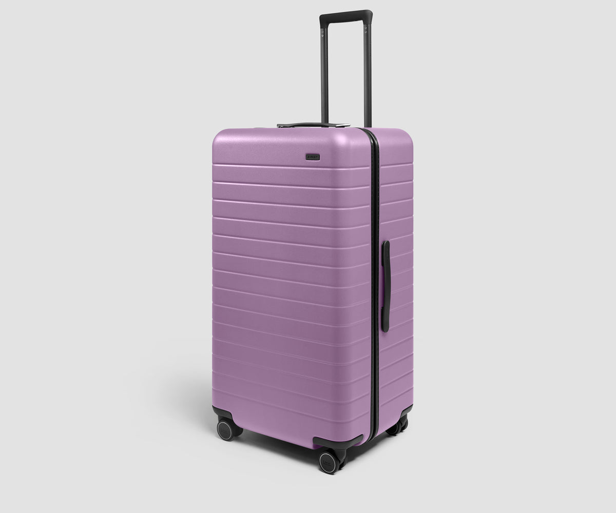 The Trunk 3 in Electric Iris