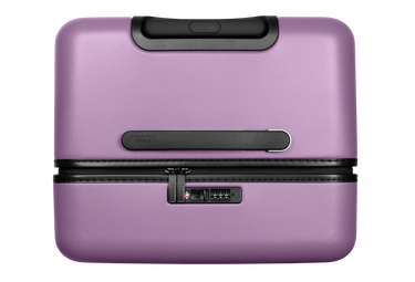 The Trunk 3 in Electric Iris