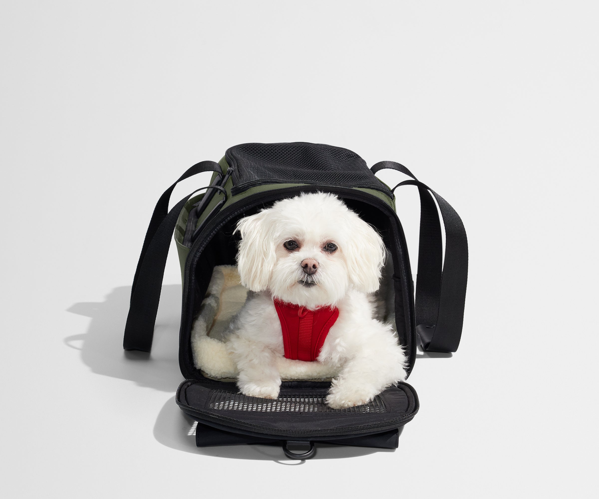 airline approved travel pet backpack & carrier with wheels Away Pet Carrier in Olive Green
