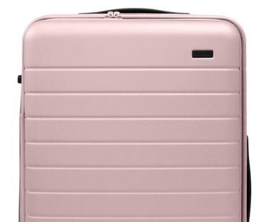 Topside Medium Trunk in Blush Pink