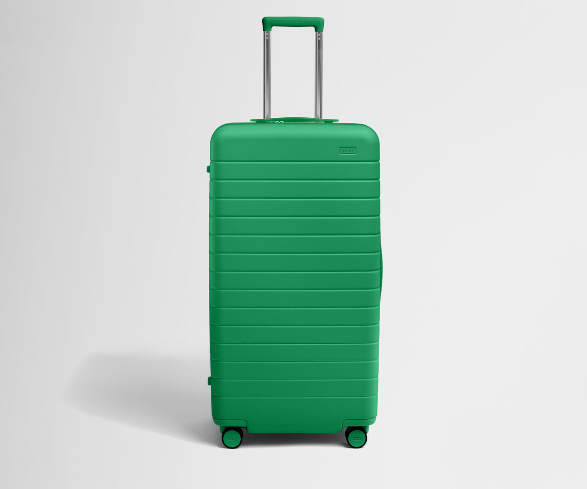 The Trunk in Palm Green