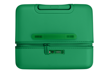 The Trunk in Palm Green