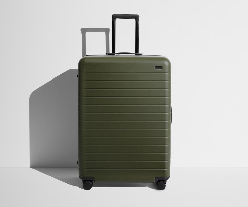 The Large suitcase