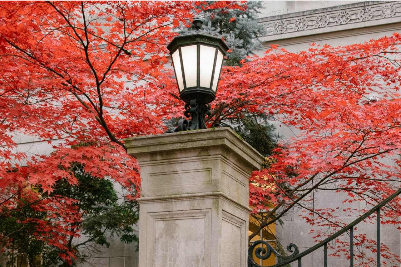 A close up shot of a lamp post with colorful Japanese maple leaves in the background in Portland